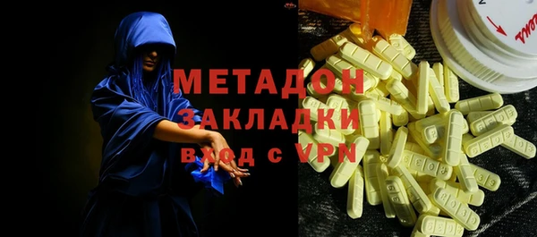 прущие грибы Вяземский