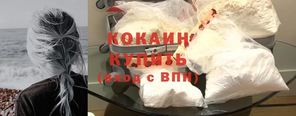 прущие грибы Вяземский