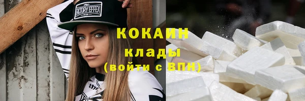 бошки Гусев