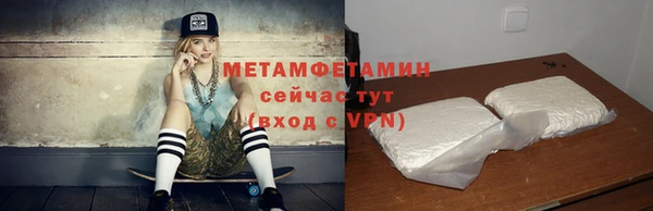 прущие грибы Вяземский