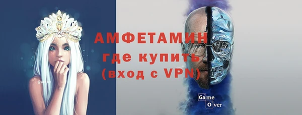 прущие грибы Вяземский