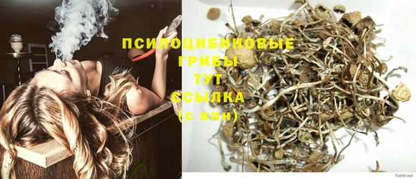 a pvp Володарск