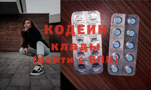 прущие грибы Вяземский