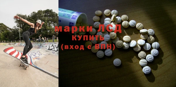 прущие грибы Вяземский
