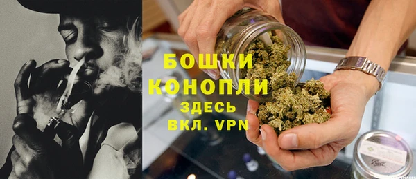 прущие грибы Вяземский