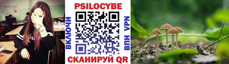 наркота  Закаменск  Галлюциногенные грибы мицелий 